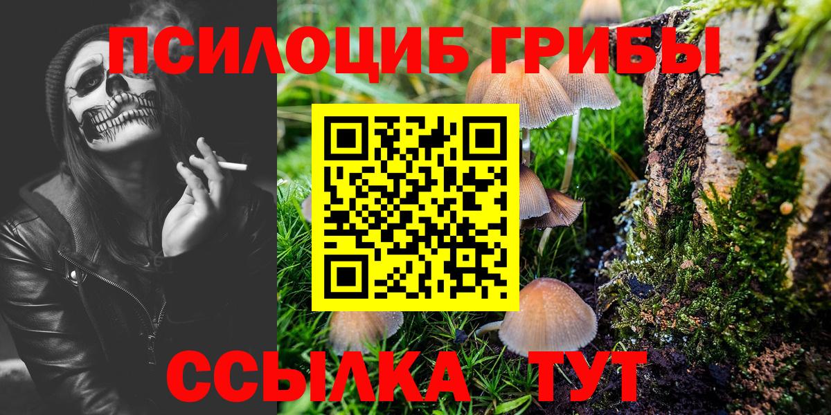 Гурьевск  Псилоцибиновые грибы Magic Shrooms  Вход с VPN 